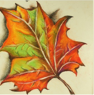 Nature Colours hand-drawn artwork