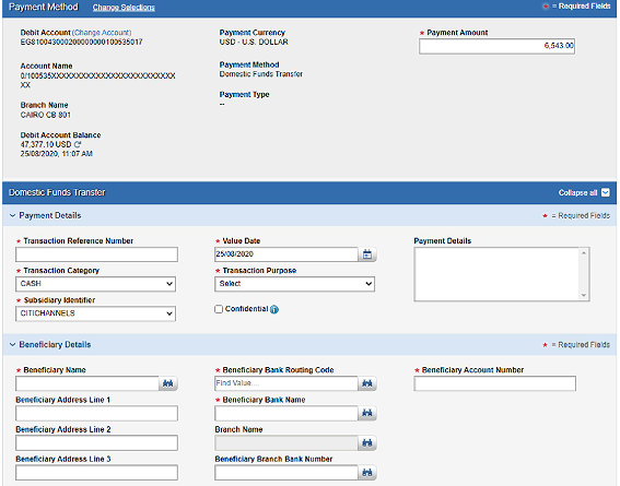 Manual payments goal — reduce burden on support services