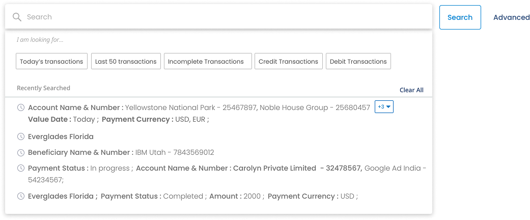 Customised search with quick filters, recently searched queries, and advanced options